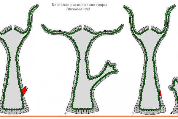 Кракен что можно купить