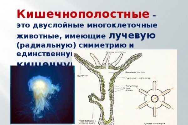 Даркнет сайт скачать