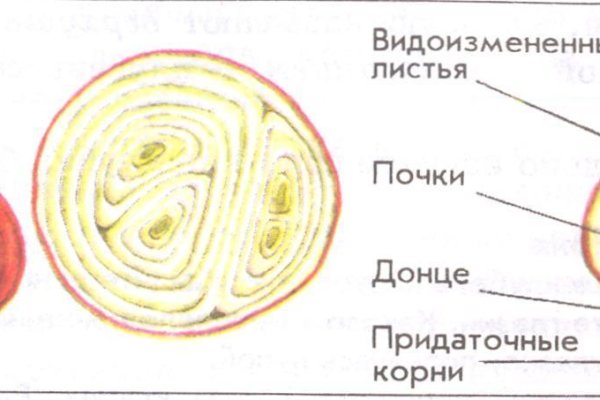 Как зайти на кракен через тор браузер